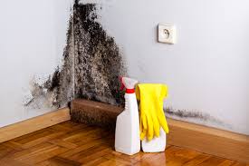 Best Dehumidification Services  in Clifton Forge, VA